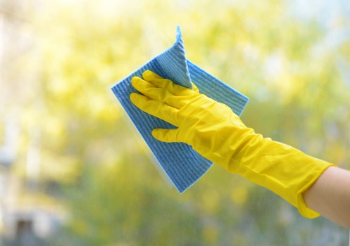 Steam carpet cleaning service for a Stockwell home interior