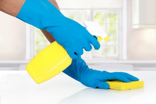 Deep cleaning setup for a one off cleaning visit in Stockwell