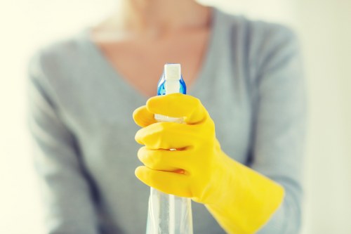 Professional carpet and upholstery deodorising in a Stockwell property