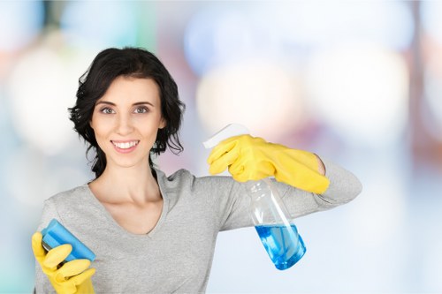 Professional sofa cleaning service for Stockwell homes and apartments