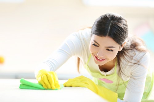Local cleaner carrying out ongoing cleaning in Stockwell