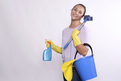 Odour removal treatment being applied to upholstery in a South London flat
