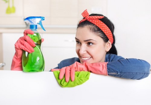 Professional domestic cleaning visit for a Stockwell household