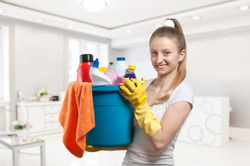 Stockwell cleaning professional creating a fresh and organized interior
